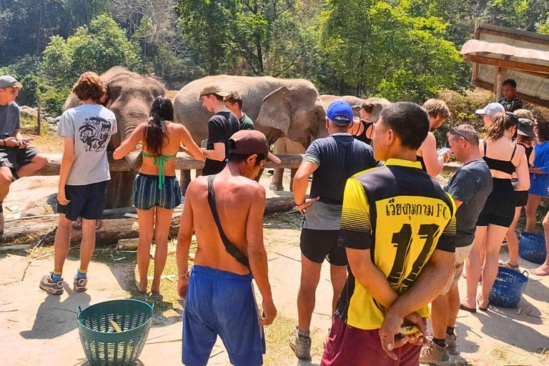Chiang Mai: Jungle Trek, Elephants care & Bamboo Rafting
