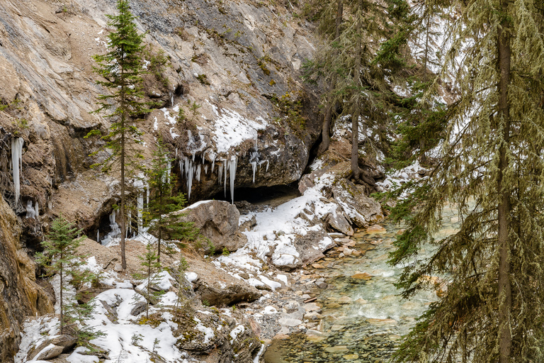 Desde Banff Paseo guiado sobre hielo por el Cañón Johnston