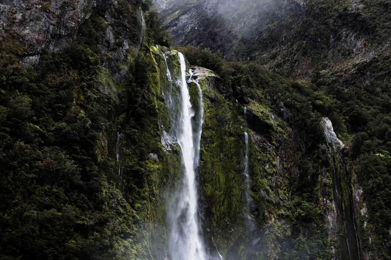 Tour di un giorno intero e crociera Premium nel Milford Sound