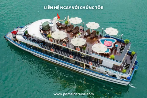 Crucero Pamela: excursión de un día a la bahía de HaLong con almuerzo y actividades