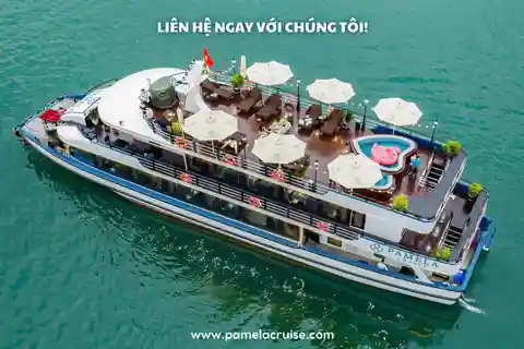 Crucero Pamela: excursión de un día a la bahía de HaLong con almuerzo y actividades