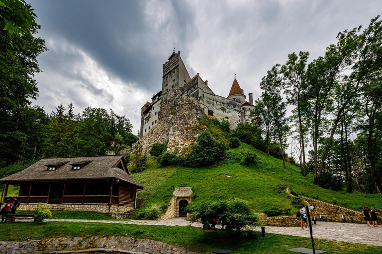 Boekarest: Peles &amp; Kasteel van Dracula en Brasov Hele dagtrip