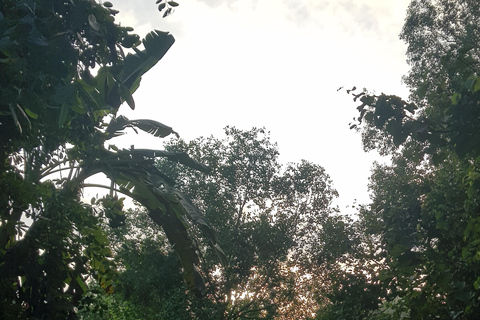 Excursão particular de meio dia - Mercado flutuante de Cái RăngExcursão particular de meio dia - Mercado flutuante de Cai Răng