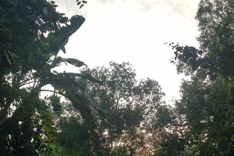 Excursão particular de meio dia - Mercado flutuante de Cái RăngExcursão particular de meio dia - Mercado flutuante de Cai Răng