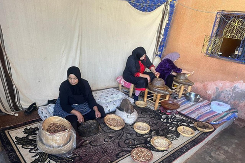 Marrakech: quattro villaggi berberi della valle Giro in cammello e pranzo