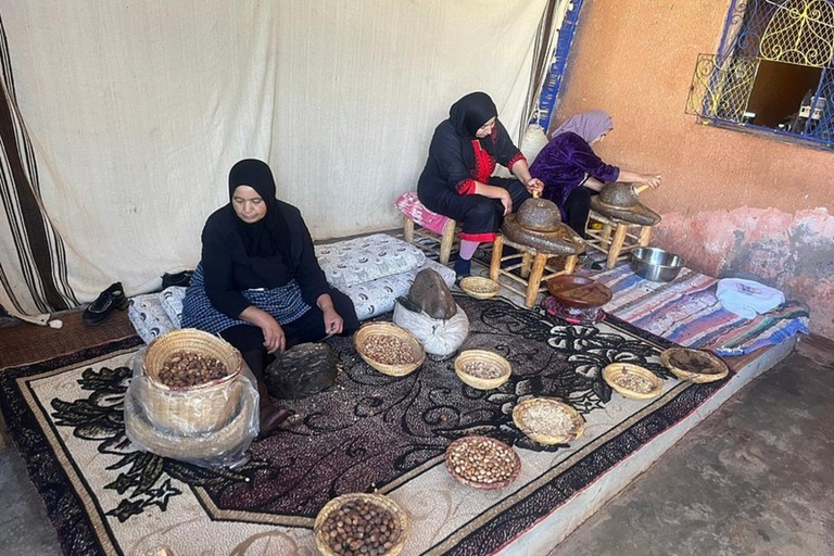 Marrakech :atlas 3 pueblos bereberes del valle y paseo en camello