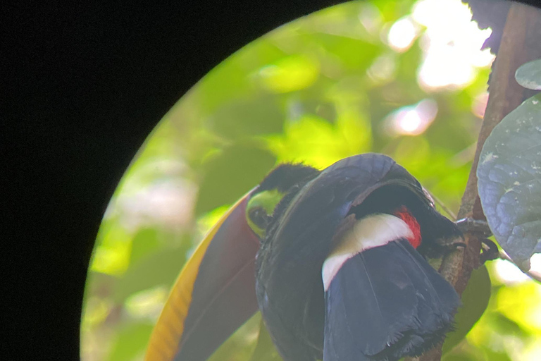 Uvita: Stacja San Pedrillo w Parku Narodowym Corcovado z Uvita