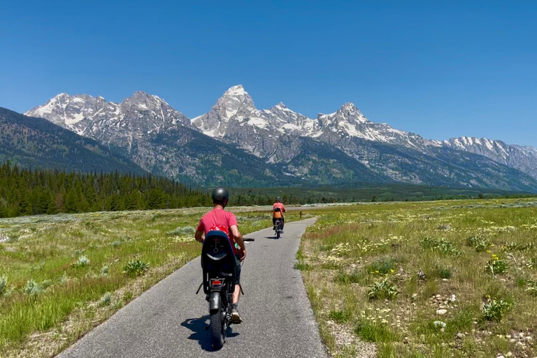 Grand Teton National Park: Guided E-Bike Wildlife Tour