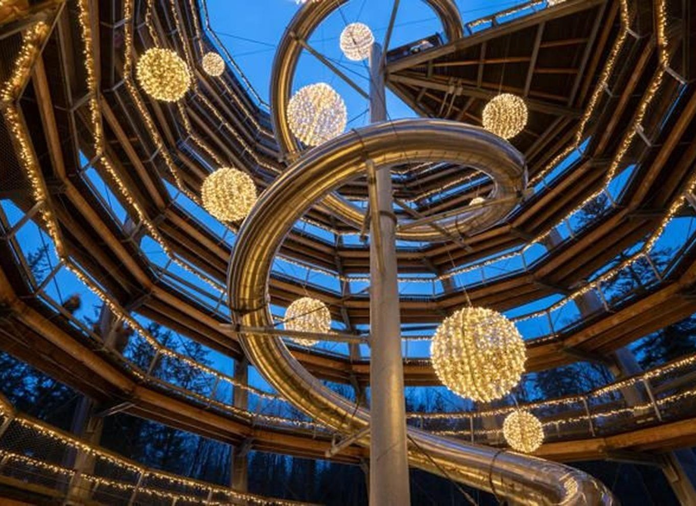 Schwarzwald: Treetop Walk & Lookout Tower Experience