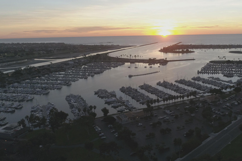 Twilight Tour with San Diego Natural History Museum Whalers Twilight Tour with San Diego Natural History Museum Whalers!