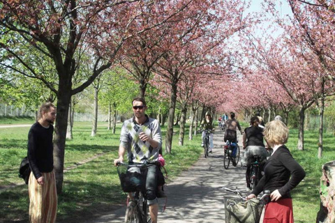 Privat: Berlin: Prenzlauer Berg Bicycle Tour in German