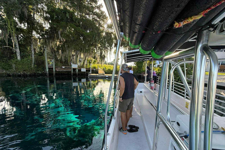 Crystal River: Manatee Viewing Cruise