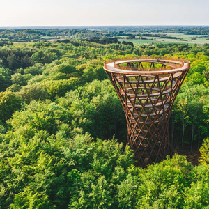 From Copenhagen: Round-Trip to Møns Klint and Forest Tower
