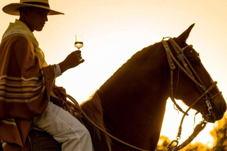 Passeio a cavalo pela Finca La Caravedo, sem degustação