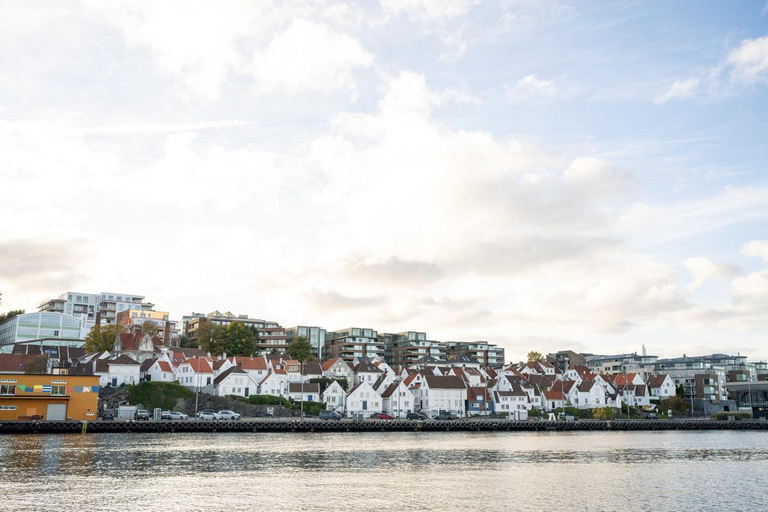 Private Stavanger city Highlights Driving tour