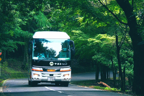 Depuis Nara : visite en bus d&#039;une demi-journée au patrimoine de l&#039;UNESCO&amp;Mt. Wakakusa12:35 Kintetsu Nara Station