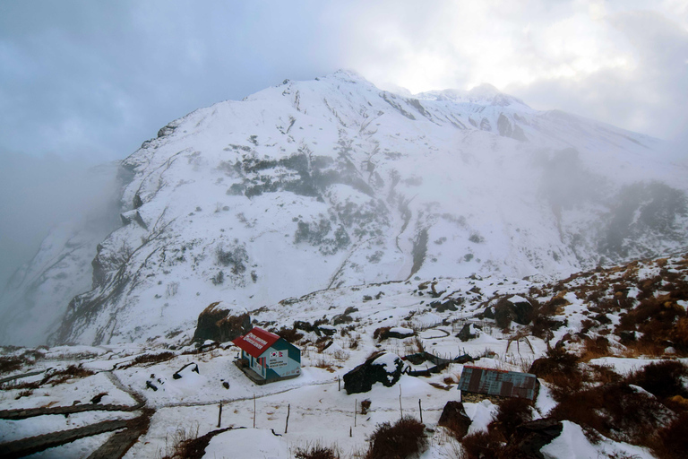 From Kathmandu: 5, 6, or 7-Day Langtang Valley Guided Trek From Kathmandu: 5-Day Langtang Valley Guided Trek