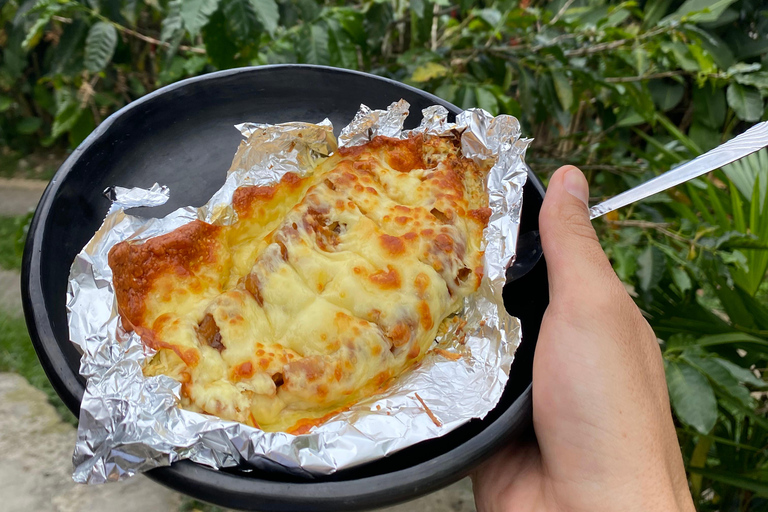 From Medellín: Half Day Private Coffee Tour