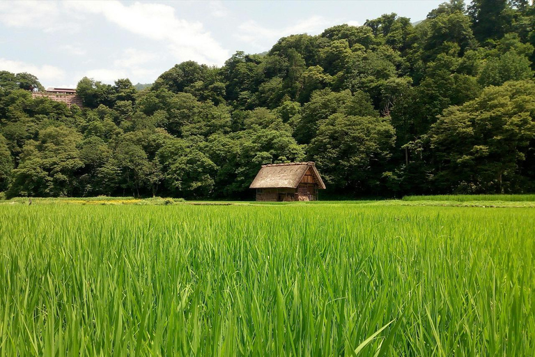 Desde Tokio: excursión de 1 día a Shirakawago y Kanazawa