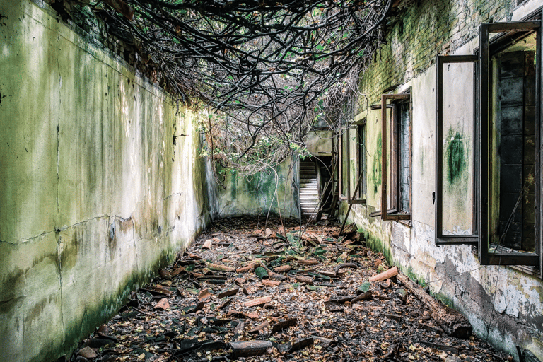 Poveglia Island Tour from Venice (private tour)