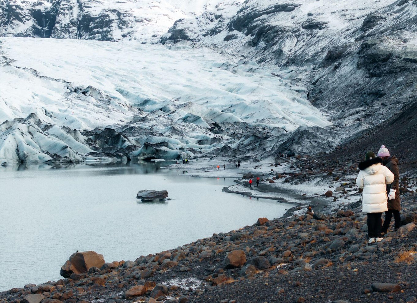 Island: Heldagstur til sydkysten, den sorte strand og vandfald