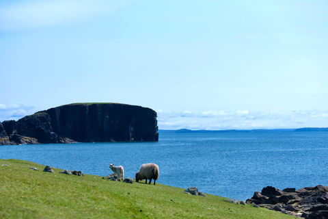 De Edimburgo: 6 dias de exploração de Shetland e NothernmostShetland Explorer de 6 dias -- Quarto duplo/duplo