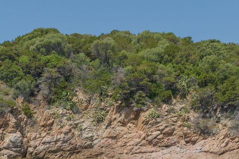 Propriano: BBQ Boat rental without a license for aperitifs or lunch at sea Lunch / Barbecue at sea (midday)