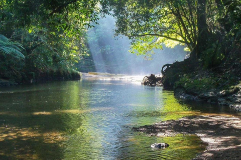Santos: Geführte Kajaktour im Herzen des State ParksSao Paulo: Geführtes Kajak im Herzen des Staatsparks