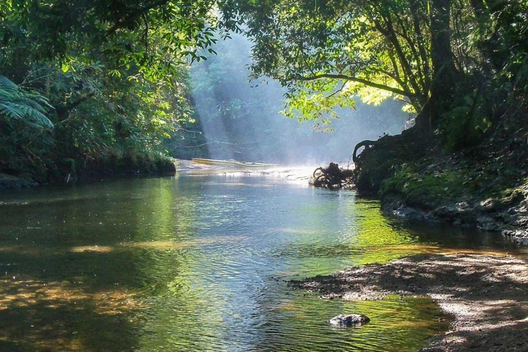 Santos: Geführte Kajaktour im Herzen des State ParksSao Paulo: Geführtes Kajak im Herzen des Staatsparks