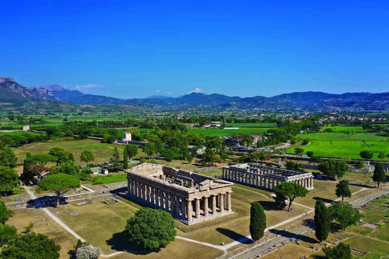 Visite guidée privée de Paestum avec transfert et billets