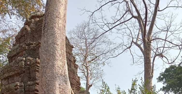 Colagem de mídia
