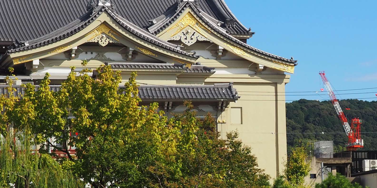 Kyoto experience — temples, geisha, bamboo grove — image 50