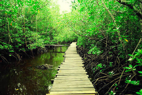 Zanzibar: Jozani Forest, Salaam Cave & Mtende Beach Tour Private Tour With Transfer But Entry Fees are not Included