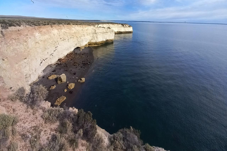 Puerto Madryn: Punta Loma Sea Lion Reserve Tour with Pickup
