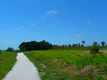 Ab Orlando: Everglades-Abenteuer & Miami-Bootstour Ab Orlando: Everglades-Abenteuer & Miami-Bootstour