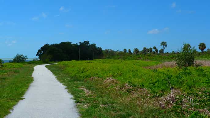 everglades og miami adventure tour fra orlando
