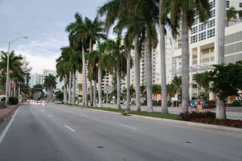 Full-Day Miami Tour from Orlando