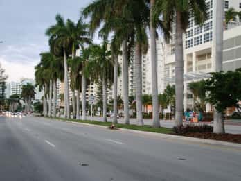 Ab Orlando: Tagestour nach Miami Ab Orlando: Tagestour nach Miami