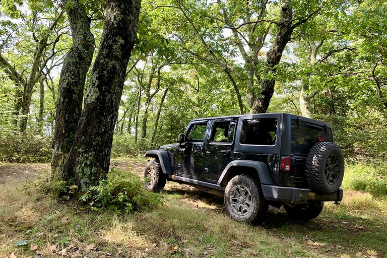 Patras : lever du soleil au mont Panachaiko en Jeep et petit-déjeuner grecPatras : lever du soleil au mont Panachaiko en 4x4 et petit-déjeuner grec