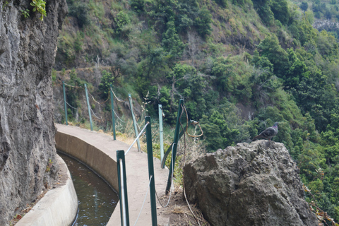 From Funchal: Levada Nova Hiking Tour with stopover at beach Nova friday
