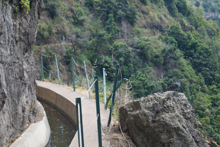 From Funchal: Levada Nova Hiking Tour with stopover at beach Nova friday