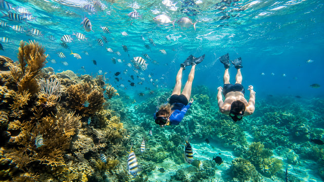 Ab Cebu: 3-Insel-Hopping-Tour auf Mactan mit Mittagessen