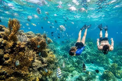 From Cebu: Mactan 3-Island Hopping Tour with Lunch - Image 3