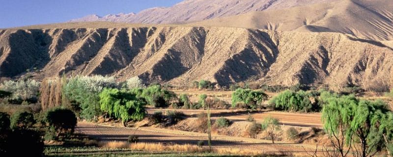 Visite multiculturelle de la vallée de Humahuaca depuis Salta