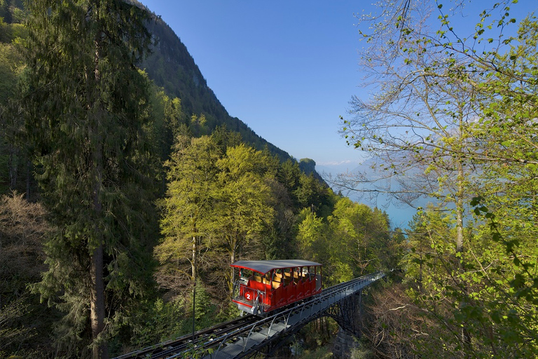 Private Full-Day Lake and Gorge Tour from Interlaken