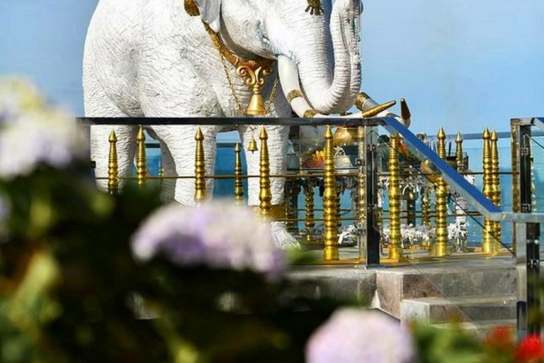 Kandy: Pinnawala, Ambuluwawa, and Village Tour