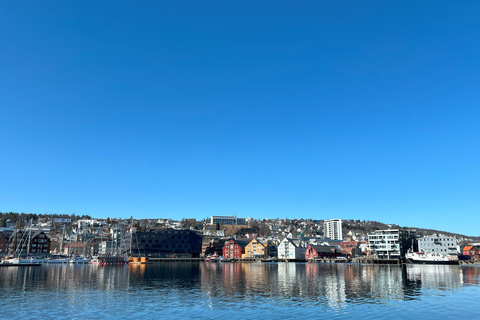 Tromsø: Discover the City & Polar Museum! Free entry! Tromsø: Guided tour of the city, including the Polar Museum!