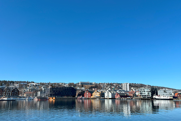 Tromsø: Discover the City & Polar Museum! Free entry! Tromsø: Guided tour of the city, including the Polar Museum!