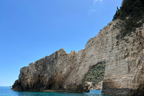 Boottochtjes met glazen boot om schildpadden te spotten