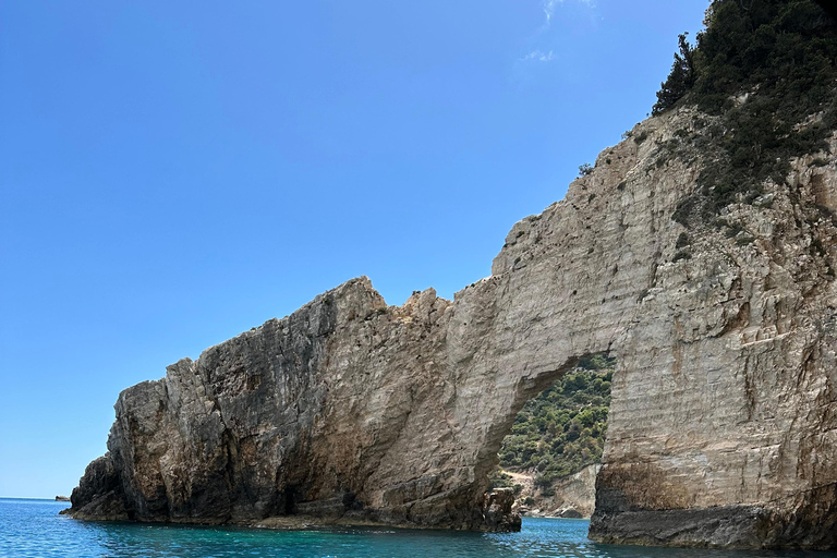 Boottochtjes met glazen boot om schildpadden te spotten